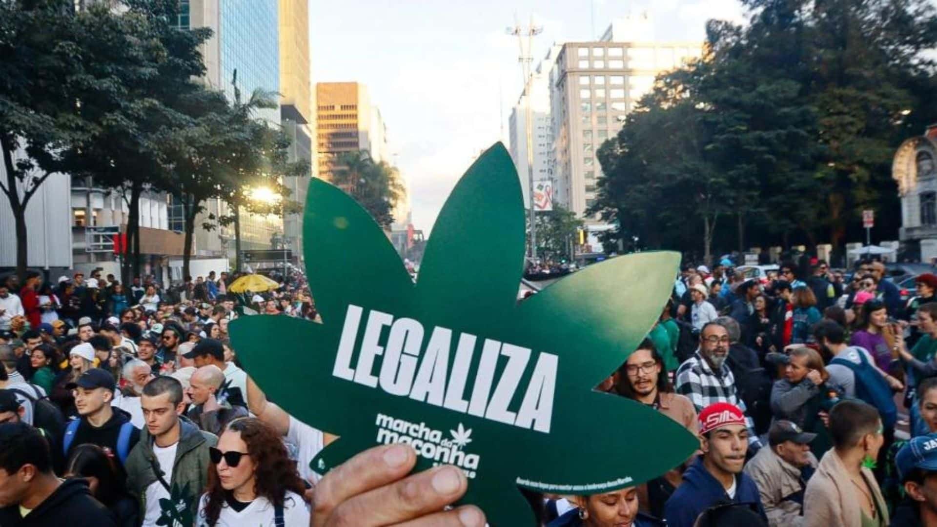 cannabis legalization in latin america