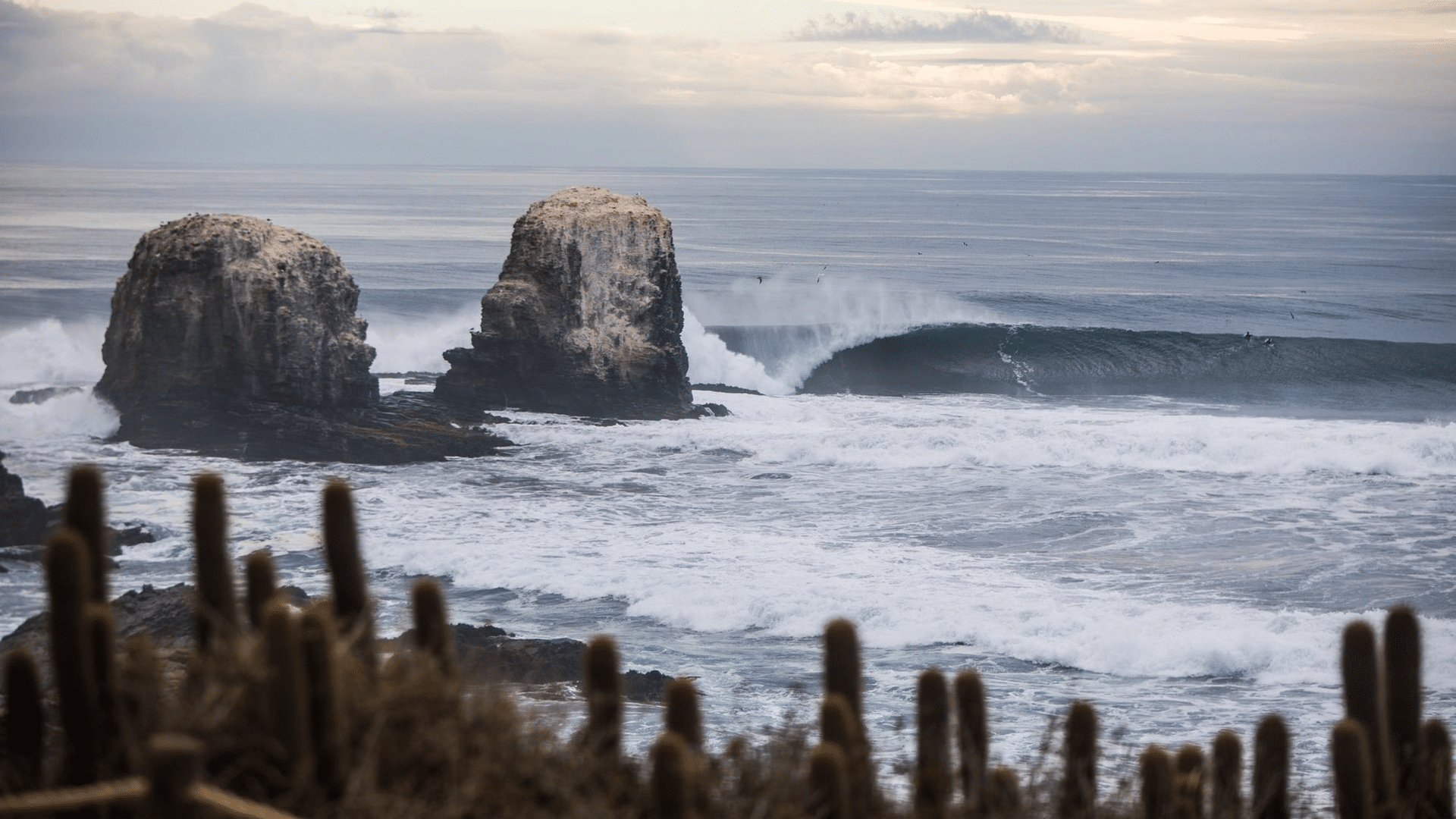 punta de lobos, chile